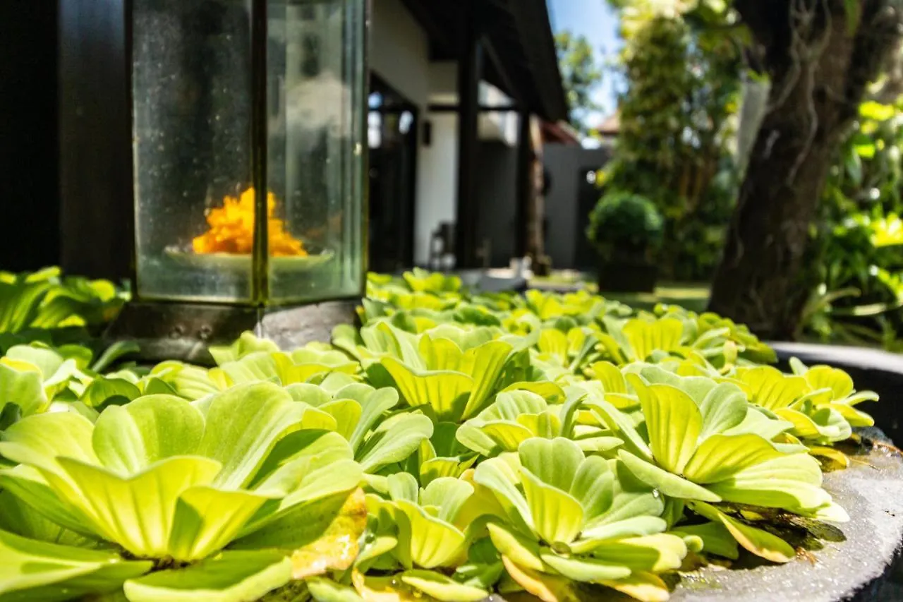 Promo Tropical 3 Bd Villa With Office And Parking Kerobokan