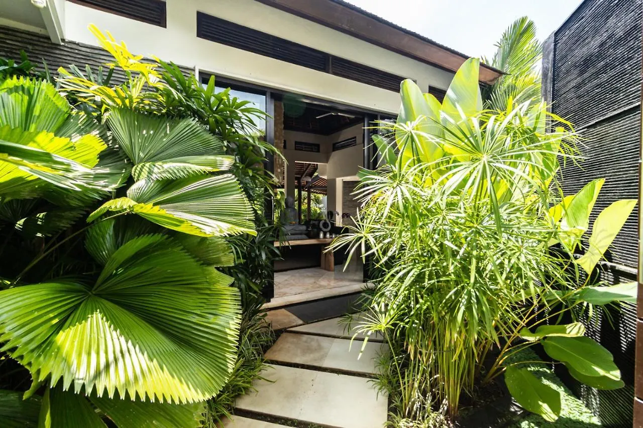 Promo Tropical 3 Bd Villa With Office And Parking Kerobokan
